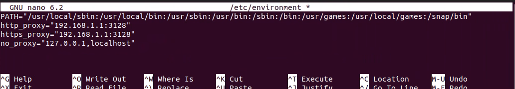 proxy_settings_environment_values.png