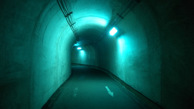 26223706_s.jpg